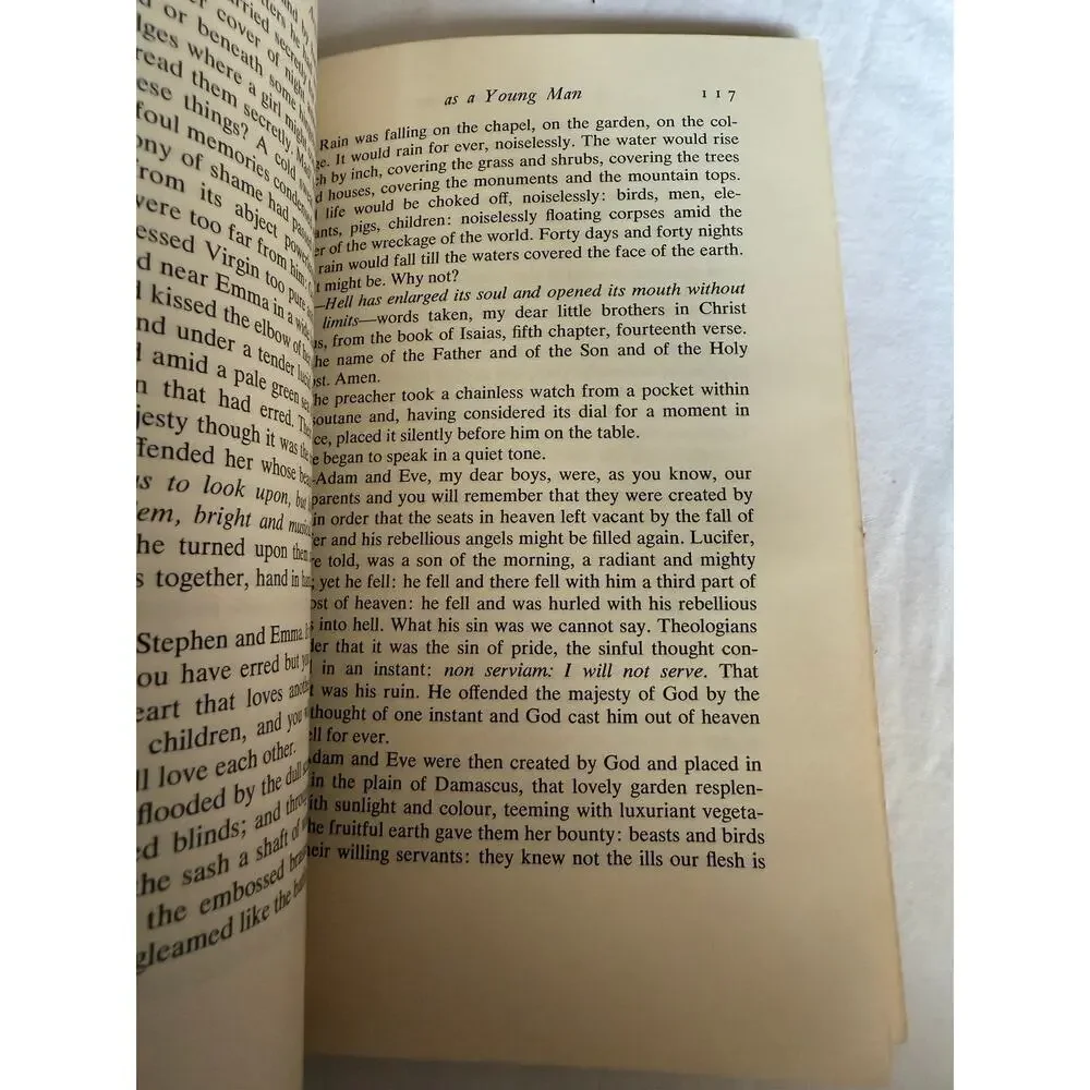 A Portrait of The Artist as a Young Man - James Joyce - 1964- Paperback